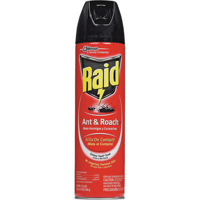 Raid 17.5 Oz. Outdoor Fresh Scent Aerosol Spray Ant & Roach Killer
