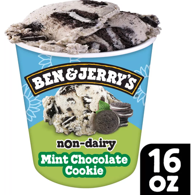 Ben & Jerry's Non-dairy Mint Chocolate Cookie 16oz Box
