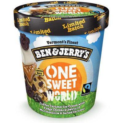 Ben and Jerry's One Sweet World Ice Cream 16oz Container