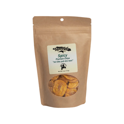 Jamagel Plantain Chips Spicy 4oz Bag