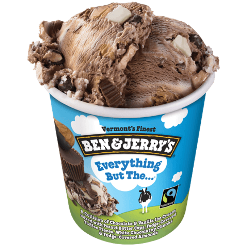 Ben & Jerrys Everything But Ice Cream 10oz Carton